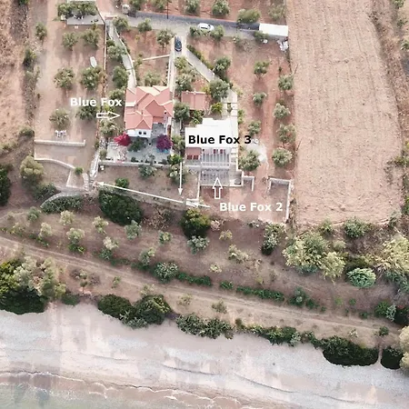 Blue Fox 3 Apartamento