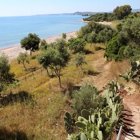 Blue Fox 3 Apartamento *