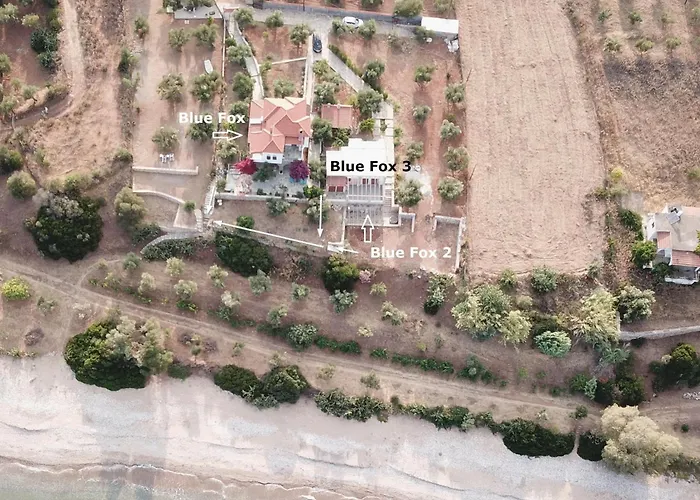 Blue Fox 3 Apartament