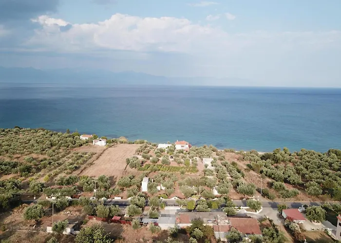 Blue Fox 3 * חראני