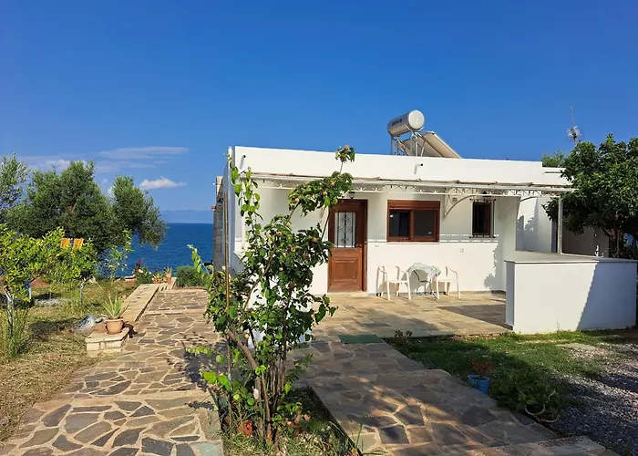 Blue Fox 3 חראני