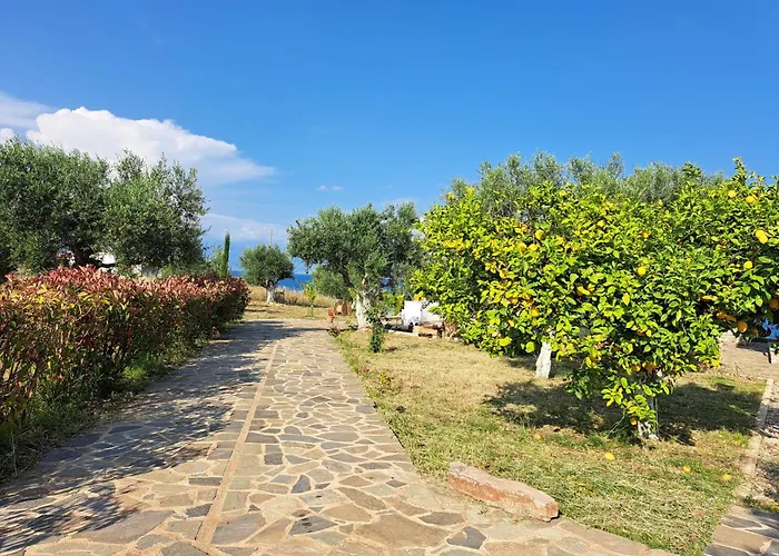 Blue Fox 3 דירה *